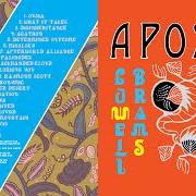 Le texte musical PALINODES de SUFJAN STEVENS est également présent dans l'album Aporia (2020)