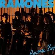Le texte musical APEMAN HOP de RAMONES est également présent dans l'album Animal boy (1986)