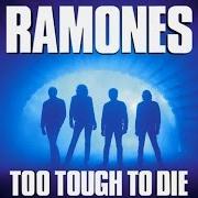 Le texte musical CHASING THE NIGHT de RAMONES est également présent dans l'album Too tough to die (1984)