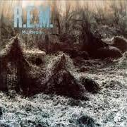 Le texte musical THE ONE I LOVE de R.E.M. est également présent dans l'album Document (1987)