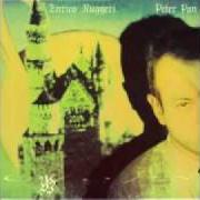 Le texte musical PETER PAN de ENRICO RUGGERI est également présent dans l'album Peter pan (1991)